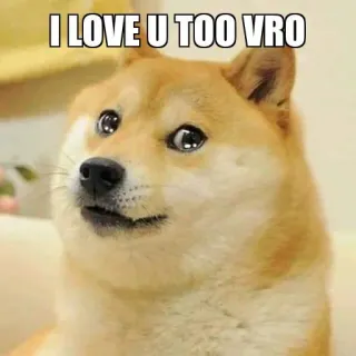 ❤️ I LOVE U TOO VRO doge, 表情包, 狗, 爱, vro telegram sticker
