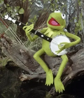 💃 Kermit the Frog Kermit, frog, banjo, Muppets, puppet, playing music telegram sticker