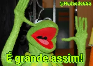 🌚 Kermit É grande assim! Kermit, muppet, green, puppet, sesame street telegram sticker