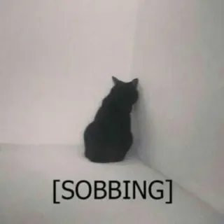 😭 [SOBBING] кот, рыдает, грустный, мем, животное, черный кот, эмоция telegram sticker