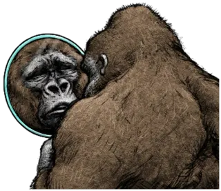 😞 горилла, грустный, обезьяна, зеркало, животное, отражение whatsapp sticker