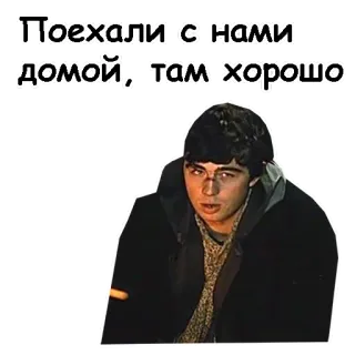😉 Поехали с нами домой, там хорошо telegram sticker