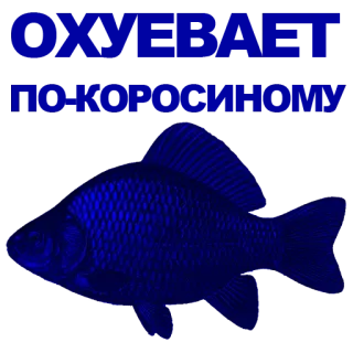 🐠 poisson, animal, aquatique, vie marine whatsapp sticker