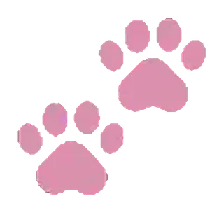 🐾