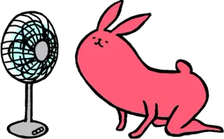 😀 Hase, Fan, Häschen, süß, Tier, kawaii whatsapp sticker