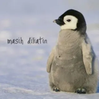🐧 masih diliatin pingwin, pingwinek, słodki, zwierzę, ptak telegram sticker