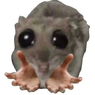 🤲 Russian flying squirrel flying squirrel, cute, meme, reaching, hands, animal telegram sticker