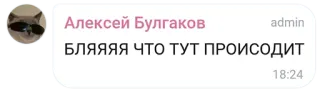 😯 БЛЯЯЯЯ ЧТО ТУТ ПРОИСОДИТ русский язык, нецензурная лексика, енот, солнцезащитные очки, чат telegram sticker