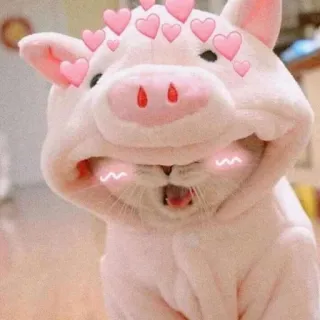 💖 gatto, maiale, cuori, animale, carino, rosa, animale domestico telegram sticker
