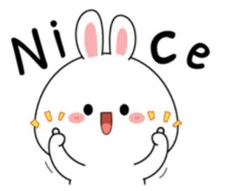 🖤 lapin, mignon, joyeux, lapinou, animal telegram sticker