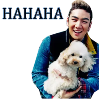 😆 HAHAHA pria, anjing, tersenyum, bahagia, imut, haha whatsapp sticker