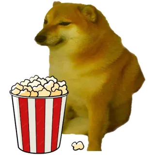 🍿 doge, cheems, popcorn, guardando, meme, cane telegram sticker