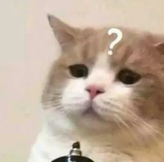 😦 cat, question mark, thinking, confused, animal, pet whatsapp sticker