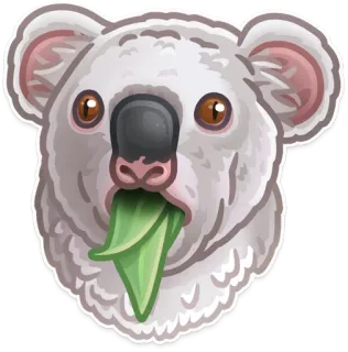 🐨 코알라, 동물, 스티커, 포유류, 호주, 유대류 telegram sticker