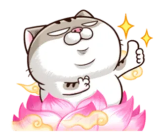 👏 cat, thumbs up, sticker, lotus, positive, cute telegram sticker