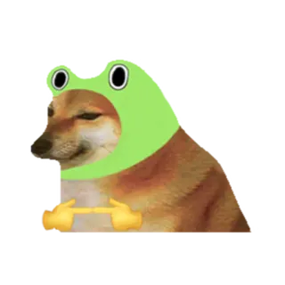 🐸 doge, หมา, มีม, หมวกกบ, น่ารัก, มืออีโมจิ, ชิบะอินุ whatsapp sticker