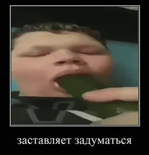 😍 заставляет задуматься Meme, Lucu, Wajah, Teks, Rusia, Mentimun telegram sticker