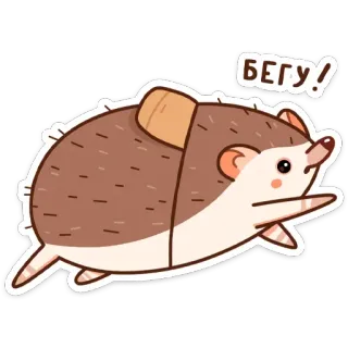 🏃‍♂️ БЕГУ! เม่น, วิ่ง, สัตว์, น่ารัก, การ์ตูน telegram sticker