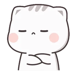 ⭐️ cat, cute, sticker, animal, white, kawaii telegram sticker