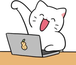 💬 猫, 笔记本电脑, 快乐, 电脑, 动物, 卡通 whatsapp sticker