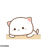 🙁 chat, mignon, triste, animal, kawaii, chat blanc whatsapp sticker