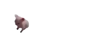 🤏 porco, animal, animal doméstico telegram sticker