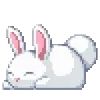 🐇