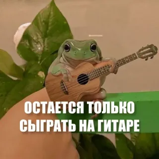 🙂 ОСТАЕТСЯ ТОЛЬКО СЫГРАТЬ НА ГИТАРЕ frog, guitar, amphibian, animal, meme telegram sticker