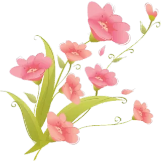 🌺 цветы, розовый, цветочный, растение, природа, цветение telegram sticker