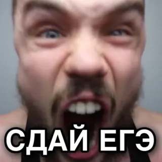 😤 СДАЙ ЕГЭ man, screaming, angry, face, EGE exam, russian language telegram sticker