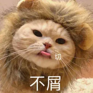 😒 切 不屑 gato, león, animal, lindo, lengua, mascota telegram sticker