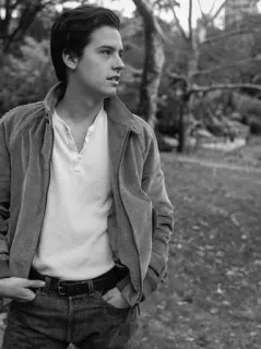 🖇 Cole Sprouse attore, ritratto, celebrità, uomo, bianco e nero, esterno, casual telegram sticker