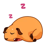 😴 Z sleeping, animal, cartoon, cute, lazy telegram sticker