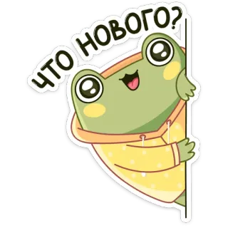 ☺️ ЧТО НОВОГО? grenouille, dessin animé, salutation, russe, autocollant, mignon, joyeux whatsapp sticker