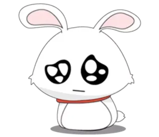 ✨ 兔子, 难过, 可爱, 动物, 卡通 telegram sticker