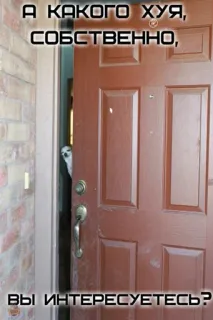 🤔 А КАКОГО ХУЯ, СОБСТВЕННО, ВЫ ИНТЕРЕСУЕТЕСЬ? door, peeking, text, russian, profanity telegram sticker
