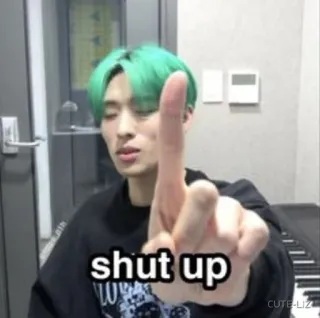 🌟 shut up persoon, gebaar, hou je mond, middelvinger, aanstootgevend, uitdrukking telegram sticker
