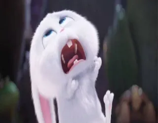 😒 Snowball The Secret Life of Pets lapin, lapinou, animal, mignon, dessin animé, animé, animal de compagnie, en colère telegram sticker