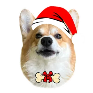 🎅 corgi, hond, kerst, kerstmuts, feestdag, bot, huisdier telegram sticker