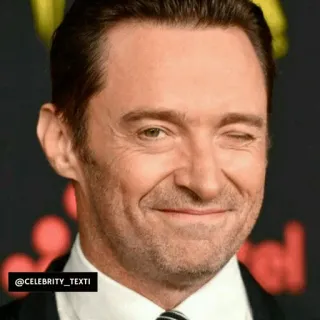 😉 Hugh Jackman @CELEBRITY_TEXTI selebriti, aktor, hugh jackman, potret, kedipan telegram sticker