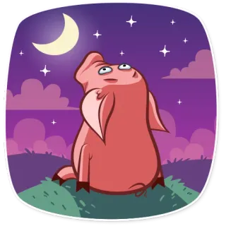 🌙 schwein, mond, nacht, sterne, cartoon, tier, süß, himmel telegram sticker