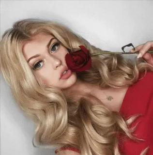 🌹 mujer, rosa, rubia, belleza, retrato, chica, maquillaje telegram sticker
