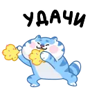 🕺 УДАЧИ buena suerte, gato, lindo, ruso, pegatina, deseo whatsapp sticker