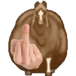 🤩 middle finger, offensive, rude, gesture, horse whatsapp sticker
