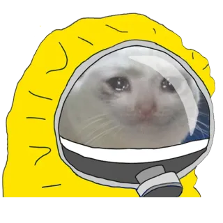 🛡 Katze, Meme, Weinend, Schutzanzug, Traurig, Lustig, Tränen, Emotional telegram sticker
