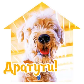 🙂 Дратути! dog, puppy, cute, pet, animal, russian, hello telegram sticker