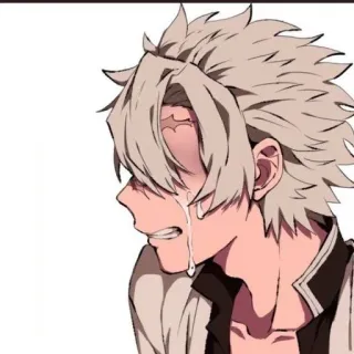 🤍 Sanemi Shinazugawa Demon Slayer 动漫, 漫画, 鬼灭之刃, 不死川实弥 telegram sticker