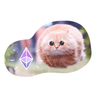 🤑 кот, котёнок, животное, ethereum, крипто, пушистый telegram sticker
