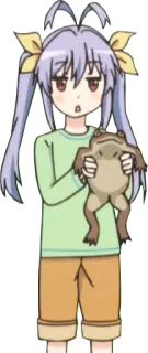 🐸 动漫女孩, 青蛙, 双马尾, 可爱, 卡通 telegram sticker