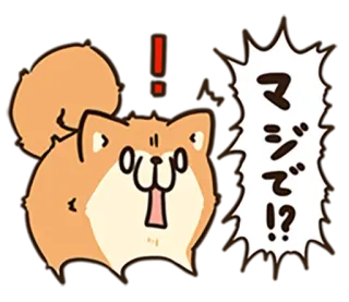 ❗️ マジで!? Hund, Shiba Inu, Anime, Cartoon, Süß, Geschockt telegram sticker